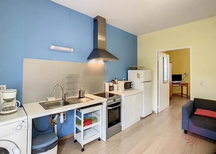 F2 Climatise Avec Terrasse Et Parking, Proche Des Thermes Et Du Centre - Les Bains - Fr-1-451-164 Lamalou-les-Bains